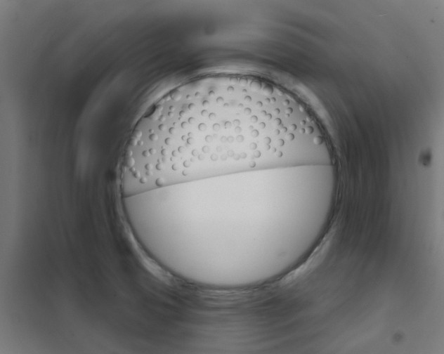 X0000101701425200807241421