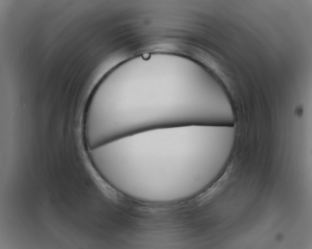 X0000101701426200807241421