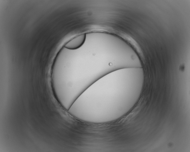 X0000101701427200807241421