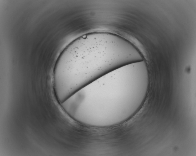 X0000101701428200807241421