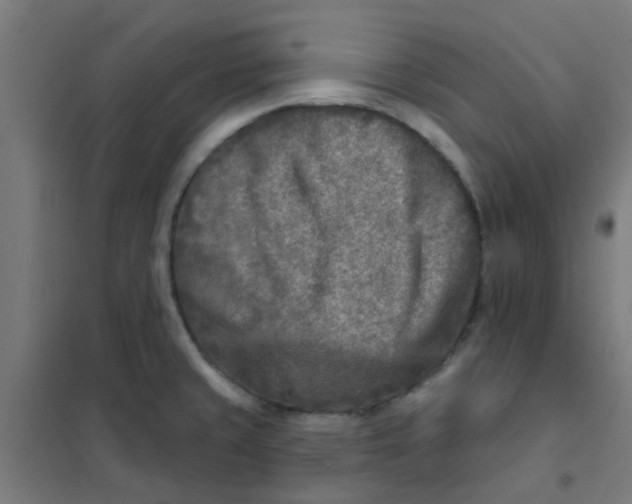 X0000101701429200807241421