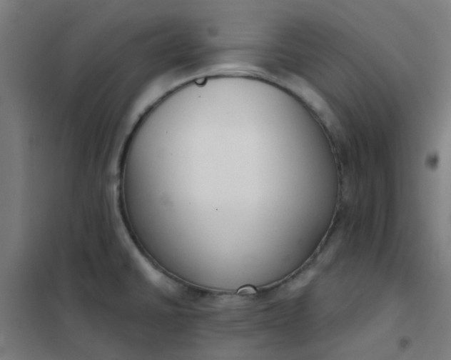 X0000101701430200807241421