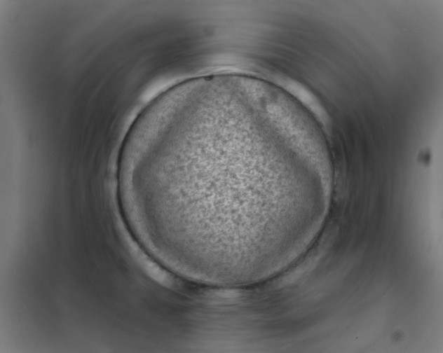 X0000101701431200807241421