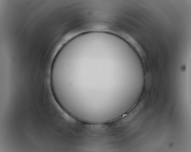 X0000101701432200807241421