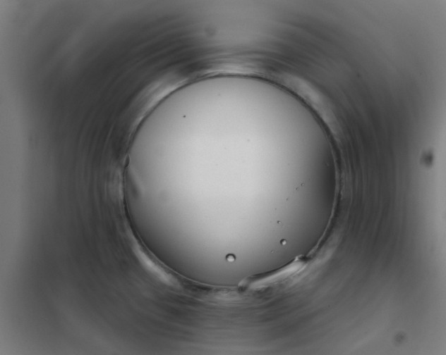 X0000101701433200807241421