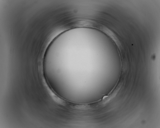 X0000101701434200807241421