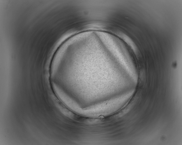 X0000101701435200807241421