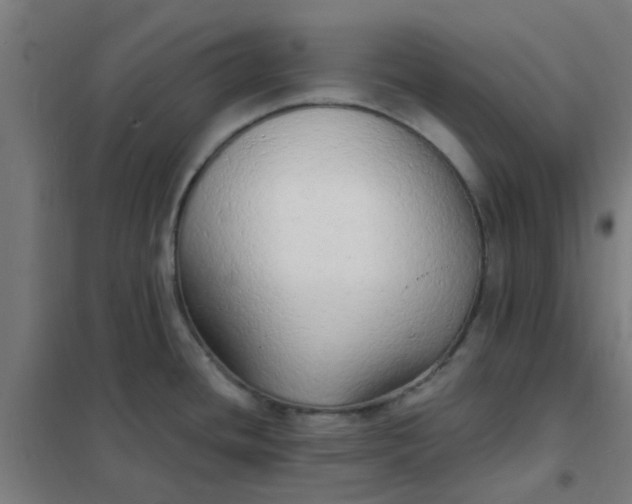 X0000101701436200807241421