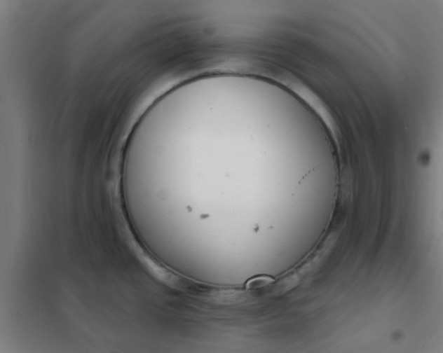 X0000101701437200807241421