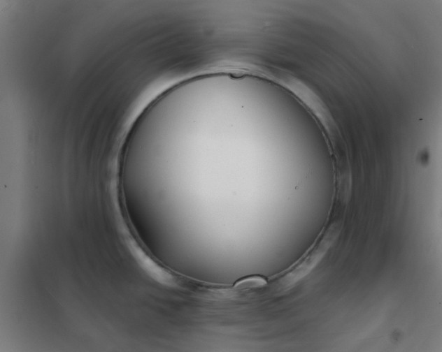 X0000101701438200807241421