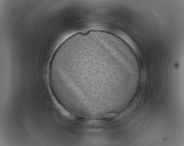 X0000101701439200807241421