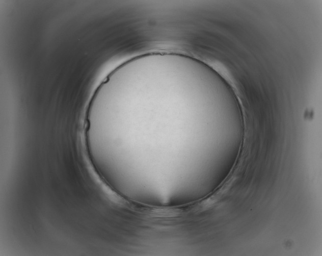 X0000101701440200807241421