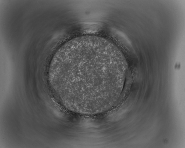 X0000101701441200807241421