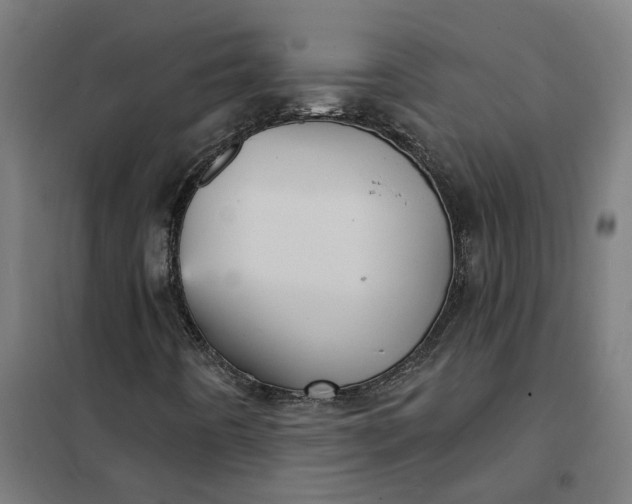 X0000101701442200807241421