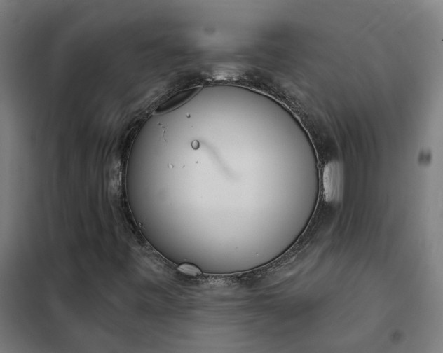 X0000101701443200807241421