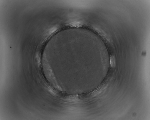 X0000101701444200807241421