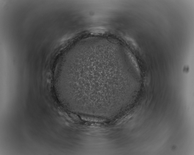 X0000101701445200807241421