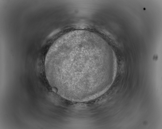 X0000101701446200807241421