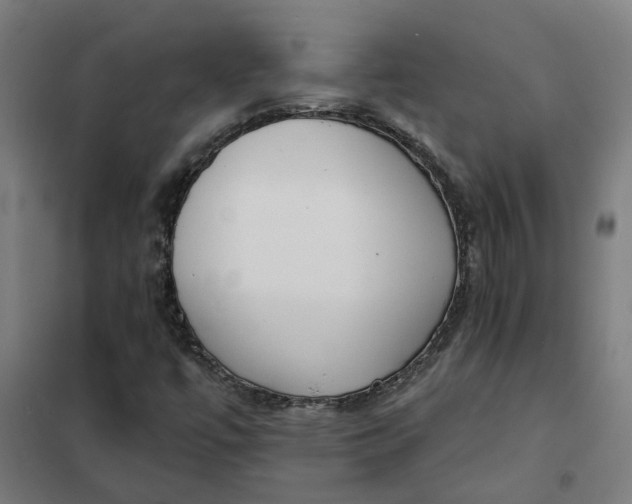 X0000101701447200807241421