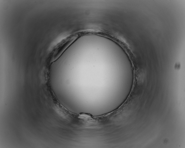 X0000101701448200807241421