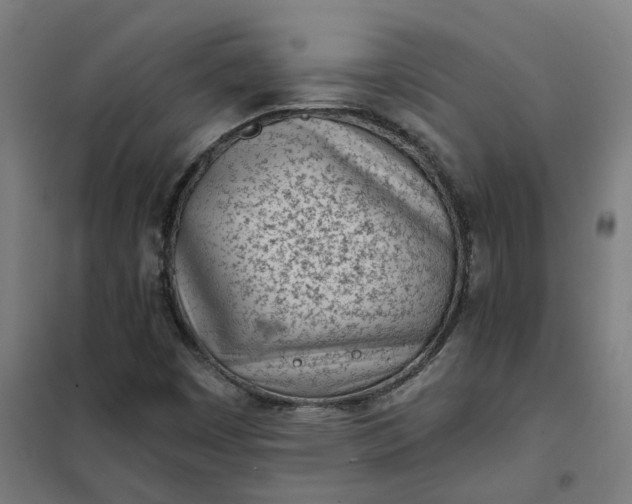 X0000101701449200807241421