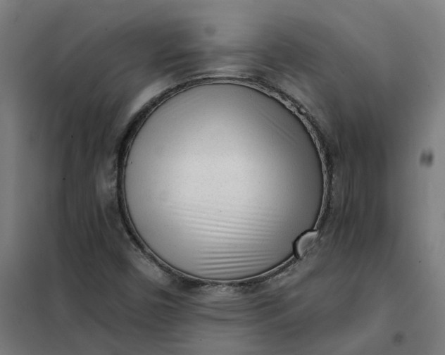 X0000101701450200807241421