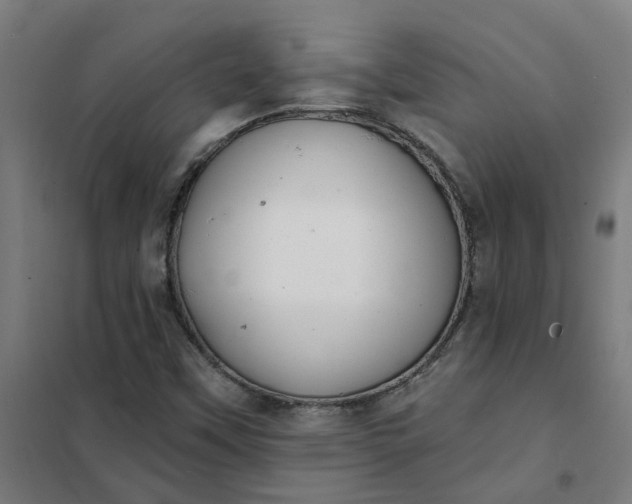 X0000101701451200807241421