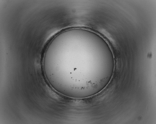 X0000101701452200807241421