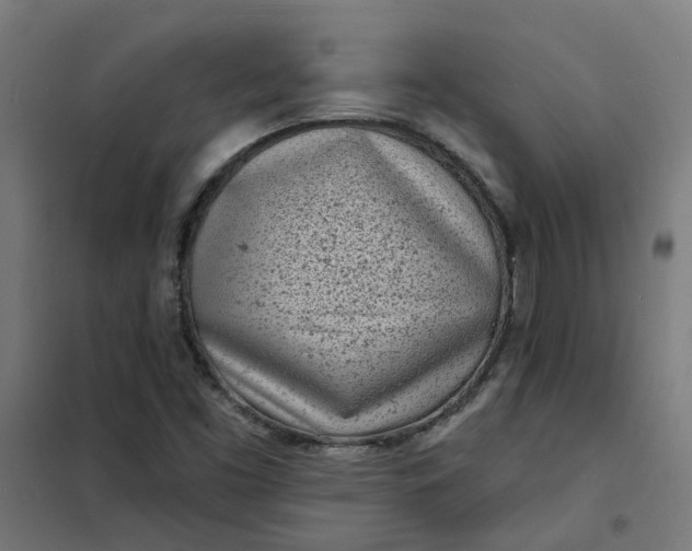 X0000101701453200807241421