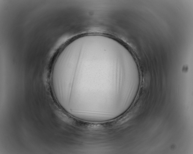 X0000101701454200807241421