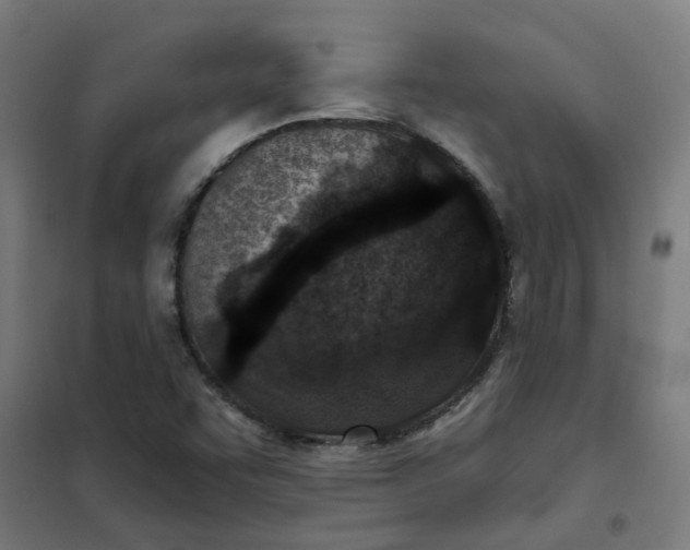 X0000101701455200807241421