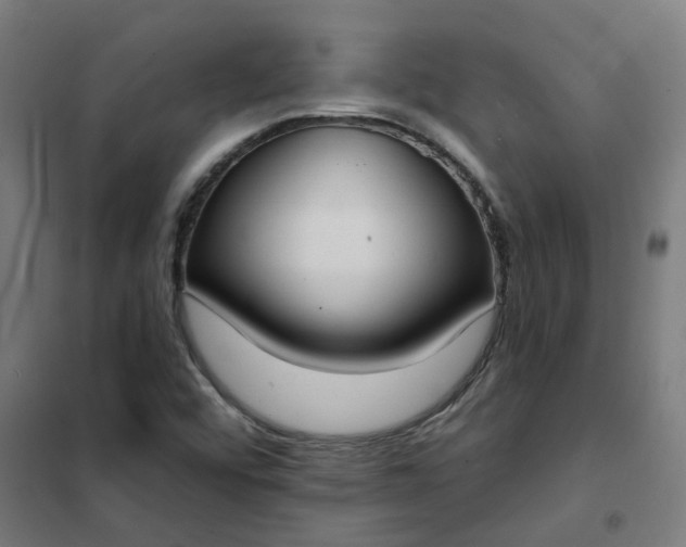 X0000101701456200807241421