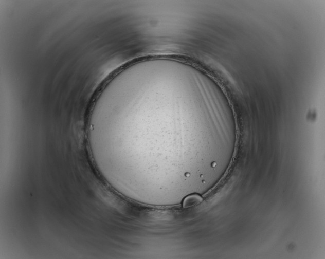 X0000101701457200807241421