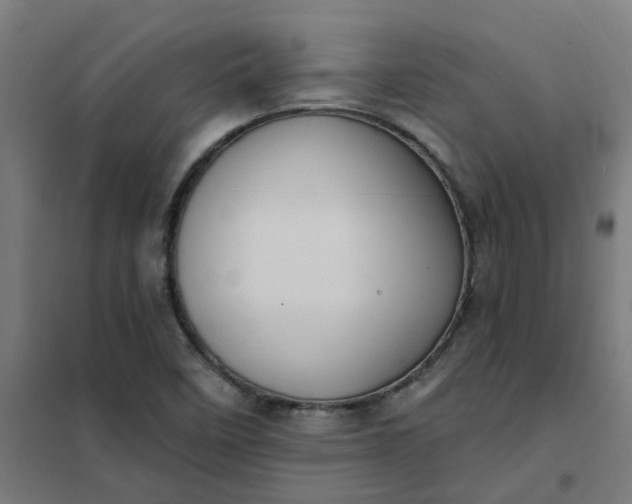 X0000101701458200807241421