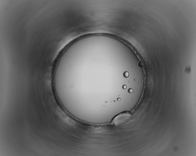 X0000101701460200807241421