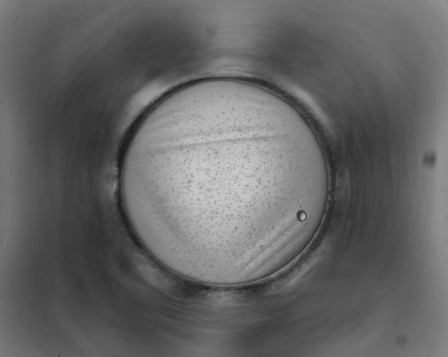 X0000101701461200807241420