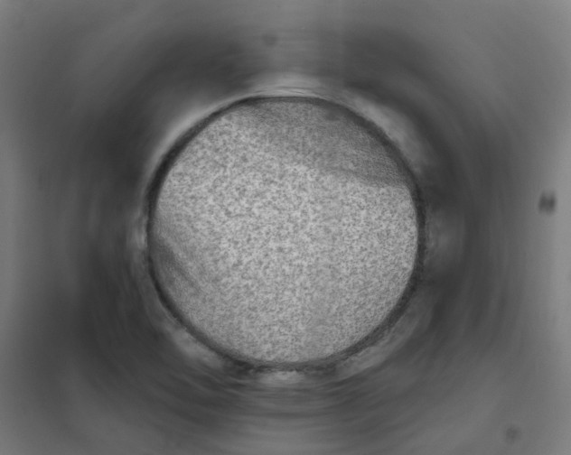 X0000101701462200807241420