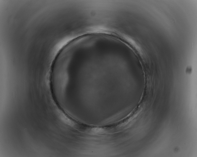 X0000101701463200807241420