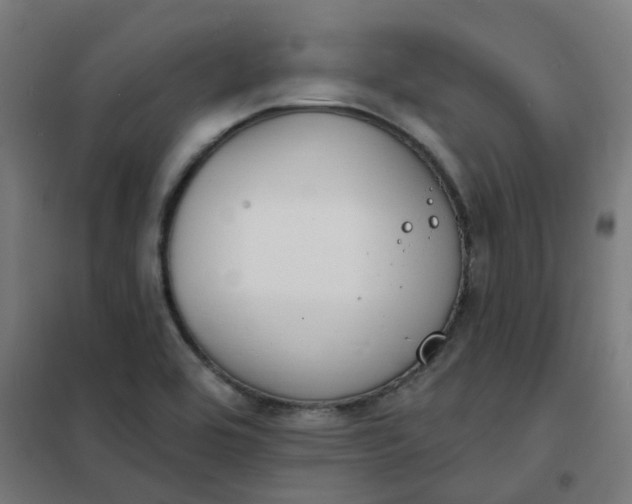 X0000101701464200807241420