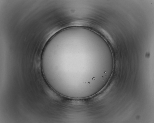 X0000101701465200807241420