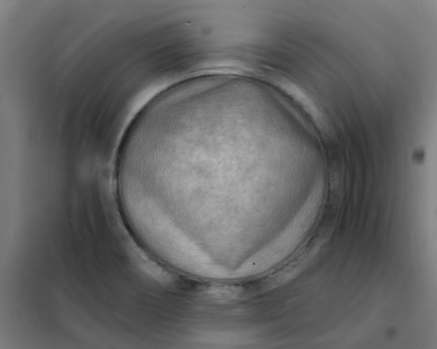 X0000101701466200807241420