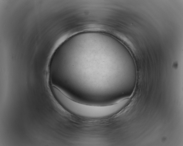 X0000101701467200807241420