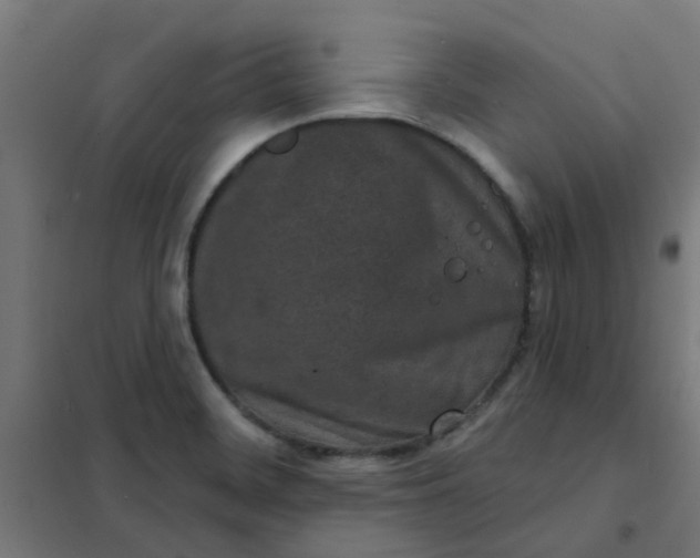 X0000101701468200807241420