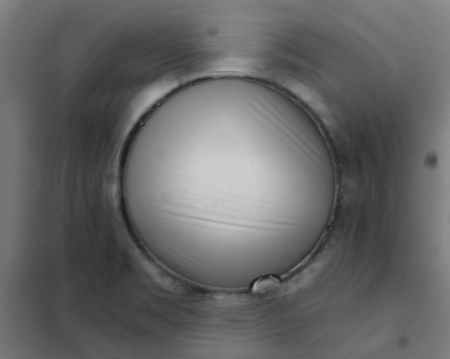 X0000101701469200807241420