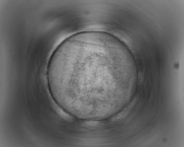 X0000101701470200807241420