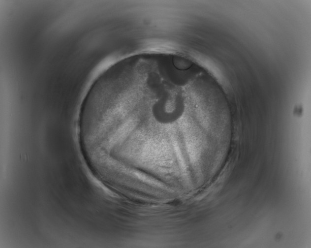 X0000101701471200807241420