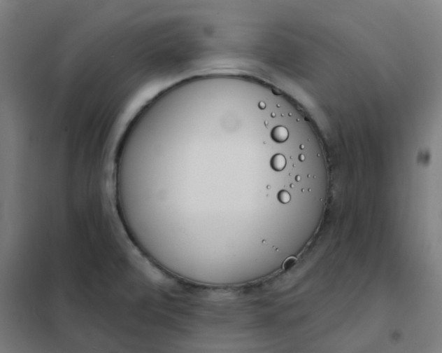 X0000101701472200807241420