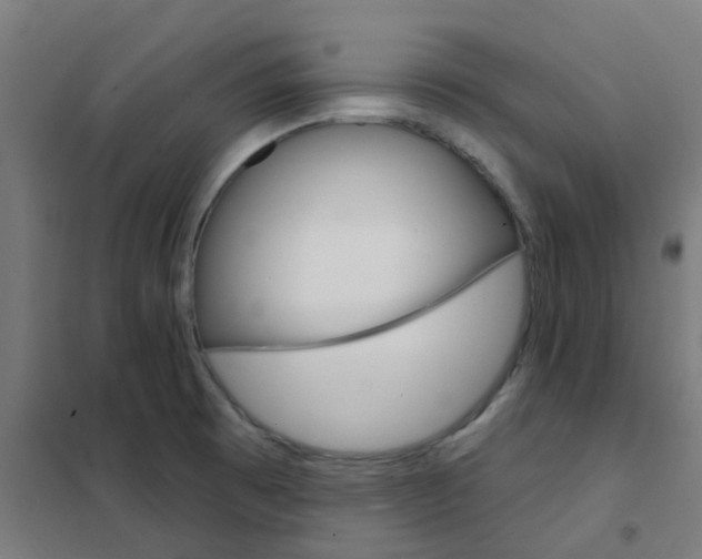 X0000101701473200807241420