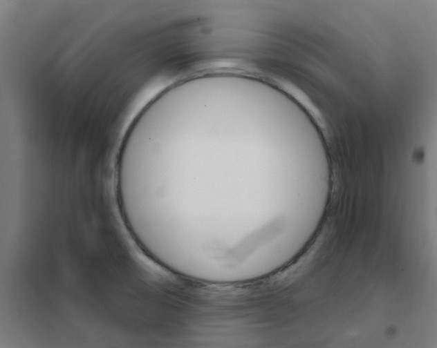 X0000101701474200807241420