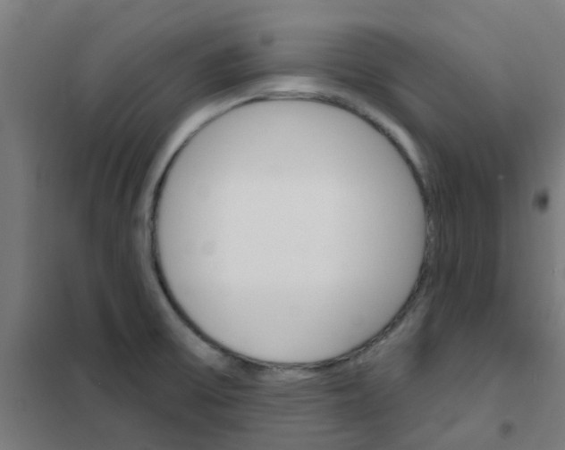 X0000101701475200807241420